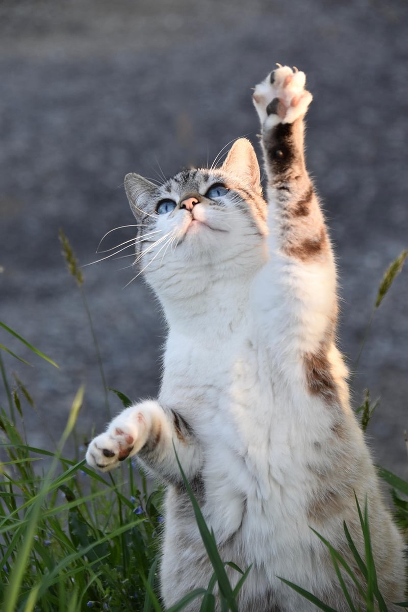 Pilates Class